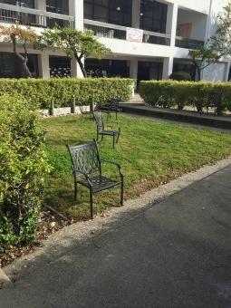 草坪上的椅子