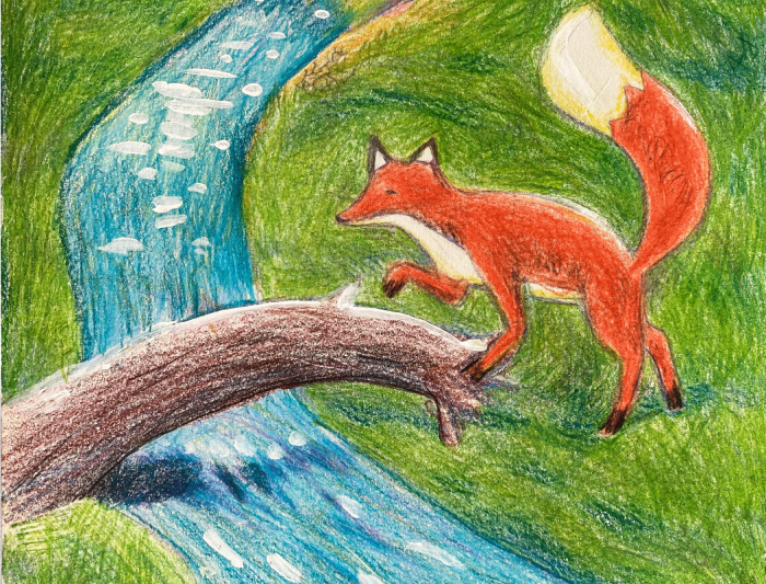 行美术-狐狸